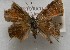  ( - WI-JAG-740)  @12 [ ] No Rights Reserved  Julio A Genaro Caribbean Natural History Group