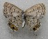  ( - WI-JAG-751)  @12 [ ] No Rights Reserved  Julio A Genaro Caribbean Natural History Group