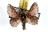  ( - JLB-0020)  @12 [ ] CreativeCommons - Attribution (2009) Unspecified Centre for Biodiversity Genomics