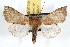  ( - JLB-0022)  @14 [ ] CreativeCommons - Attribution (2009) Unspecified Centre for Biodiversity Genomics