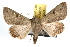  ( - JLB-0024)  @14 [ ] CreativeCommons - Attribution (2009) Unspecified Centre for Biodiversity Genomics