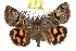  ( - JLB-0029)  @15 [ ] CreativeCommons - Attribution (2009) Unspecified Centre for Biodiversity Genomics