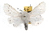  ( - JLB-0037)  @11 [ ] CreativeCommons - Attribution (2009) Unspecified Centre for Biodiversity Genomics