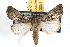  ( - JLB-0051)  @14 [ ] CreativeCommons - Attribution (2009) Unspecified Centre for Biodiversity Genomics