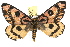  ( - JLB-0077)  @15 [ ] CreativeCommons - Attribution (2009) Unspecified Centre for Biodiversity Genomics