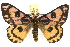  ( - JLB-0078)  @15 [ ] CreativeCommons - Attribution (2009) Unspecified Centre for Biodiversity Genomics