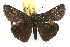  ( - JLB-0080)  @14 [ ] CreativeCommons - Attribution (2009) Unspecified Centre for Biodiversity Genomics
