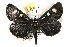  ( - JLB-0128)  @14 [ ] CreativeCommons - Attribution (2009) Unspecified Centre for Biodiversity Genomics