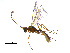  ( - 10PROBE-29049)  @14 [ ] CreativeCommons - Attribution (2011) CBG Photography Group Centre for Biodiversity Genomics