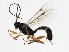 ( - 10PROBE-22019)  @13 [ ] CreativeCommons - Attribution (2010) CBG Photography Group Centre for Biodiversity Genomics