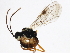  ( - 10PROBE-22034)  @12 [ ] CreativeCommons - Attribution (2010) CBG Photography Group Centre for Biodiversity Genomics