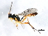 ( - 10PROBE-27567)  @13 [ ] CreativeCommons - Attribution (2010) CBG Photography Group Centre for Biodiversity Genomics