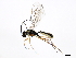  ( - 10PROBE-28875)  @14 [ ] CreativeCommons - Attribution (2011) CBG Photography Group Centre for Biodiversity Genomics