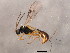  ( - 10PROBE-28889)  @14 [ ] CreativeCommons - Attribution (2011) CBG Photography Group Centre for Biodiversity Genomics