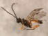  ( - 10PROBE-28931)  @13 [ ] CreativeCommons - Attribution (2011) CBG Photography Group Centre for Biodiversity Genomics
