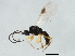  ( - 10PROBE-29116)  @12 [ ] CreativeCommons - Attribution (2011) CBG Photography Group Centre for Biodiversity Genomics