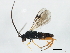  ( - 10PROBE-29117)  @14 [ ] CreativeCommons - Attribution (2011) CBG Photography Group Centre for Biodiversity Genomics