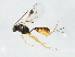  ( - 10PROBE-29118)  @13 [ ] CreativeCommons - Attribution (2011) CBG Photography Group Centre for Biodiversity Genomics