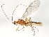  ( - BIOUG00572-F09)  @14 [ ] CreativeCommons - Attribution (2010) CBG Photography Group Centre for Biodiversity Genomics
