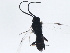  ( - BIOUG00732-A04)  @12 [ ] CreativeCommons - Attribution (2010) CBG Photography Group Centre for Biodiversity Genomics