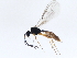  ( - BIOUG00732-A05)  @13 [ ] CreativeCommons - Attribution (2010) CBG Photography Group Centre for Biodiversity Genomics