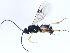  ( - BIOUG00732-D04)  @13 [ ] CreativeCommons - Attribution (2010) CBG Photography Group Centre for Biodiversity Genomics