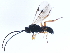  ( - BIOUG00732-E04)  @12 [ ] CreativeCommons - Attribution (2010) CBG Photography Group Centre for Biodiversity Genomics