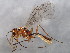  ( - BIOUG00733-H06)  @14 [ ] CreativeCommons - Attribution (2011) CBG Photography Group Centre for Biodiversity Genomics