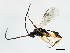  ( - BIOUG00761-A09)  @13 [ ] CreativeCommons - Attribution (2011) CBG Photography Group Centre for Biodiversity Genomics