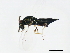  ( - BIOUG00761-B05)  @13 [ ] CreativeCommons - Attribution (2011) CBG Photography Group Centre for Biodiversity Genomics