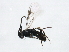  ( - BIOUG00761-H10)  @12 [ ] CreativeCommons - Attribution (2011) CBG Photography Group Centre for Biodiversity Genomics