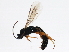  ( - BIOUG00763-C06)  @13 [ ] CreativeCommons - Attribution (2011) CBG Photography Group Centre for Biodiversity Genomics