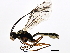  ( - BIOUG00763-H01)  @14 [ ] CreativeCommons - Attribution (2011) CBG Photography Group Centre for Biodiversity Genomics