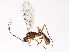  ( - BIOUG00764-E11)  @14 [ ] CreativeCommons - Attribution (2011) CBG Photography Group Centre for Biodiversity Genomics
