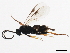  ( - BIOUG00764-G09)  @13 [ ] CreativeCommons - Attribution (2011) CBG Photography Group Centre for Biodiversity Genomics