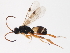  ( - BIOUG00770-D02)  @13 [ ] CreativeCommons - Attribution (2011) CBG Photography Group Centre for Biodiversity Genomics