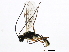  ( - BIOUG00777-F10)  @14 [ ] CreativeCommons - Attribution (2011) CBG Photography Group Centre for Biodiversity Genomics