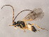  ( - BIOUG00782-G06)  @13 [ ] CreativeCommons - Attribution (2011) CBG Photography Group Centre for Biodiversity Genomics