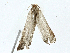  ( - BIOUG99487-C09)  @11 [ ] CreativeCommons - Attribution (2023) CBG Photography Group Centre for Biodiversity Genomics