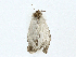  ( - BIOUG99487-C11)  @11 [ ] CreativeCommons - Attribution (2023) CBG Photography Group Centre for Biodiversity Genomics