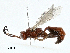 ( - BIOUG99490-E03)  @11 [ ] CreativeCommons - Attribution (2023) CBG Photography Group Centre for Biodiversity Genomics