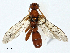  ( - BIOUG99490-E11)  @11 [ ] CreativeCommons - Attribution (2023) CBG Photography Group Centre for Biodiversity Genomics