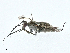  ( - BIOUG99491-C08)  @11 [ ] CreativeCommons - Attribution (2023) CBG Photography Group Centre for Biodiversity Genomics