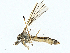  ( - BIOUG99491-H08)  @11 [ ] CreativeCommons - Attribution (2023) CBG Photography Group Centre for Biodiversity Genomics
