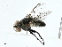  ( - BIOUG99492-H05)  @11 [ ] CreativeCommons - Attribution (2023) CBG Photography Group Centre for Biodiversity Genomics