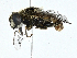  ( - BIOUG99492-H06)  @11 [ ] CreativeCommons - Attribution (2023) CBG Photography Group Centre for Biodiversity Genomics
