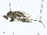  ( - BIOUG99492-H09)  @11 [ ] CreativeCommons - Attribution (2023) CBG Photography Group Centre for Biodiversity Genomics