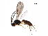  ( - BIOUG29958-G06)  @13 [ ] CreativeCommons - Attribution (2017) CBG Photography Group Centre for Biodiversity Genomics
