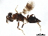  ( - BIOUG30004-A02)  @13 [ ] CreativeCommons - Attribution (2020) CBG Photography Group Centre for Biodiversity Genomics