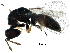  ( - BIOUG30048-F03)  @14 [ ] CreativeCommons - Attribution (2016) CBG Photography Group Centre for Biodiversity Genomics